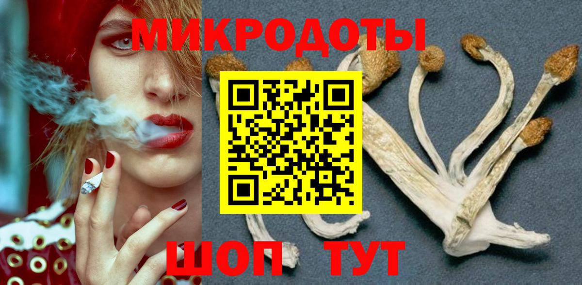 Псилоцибиновые грибы Psilocybine cubensis Калач-на-Дону