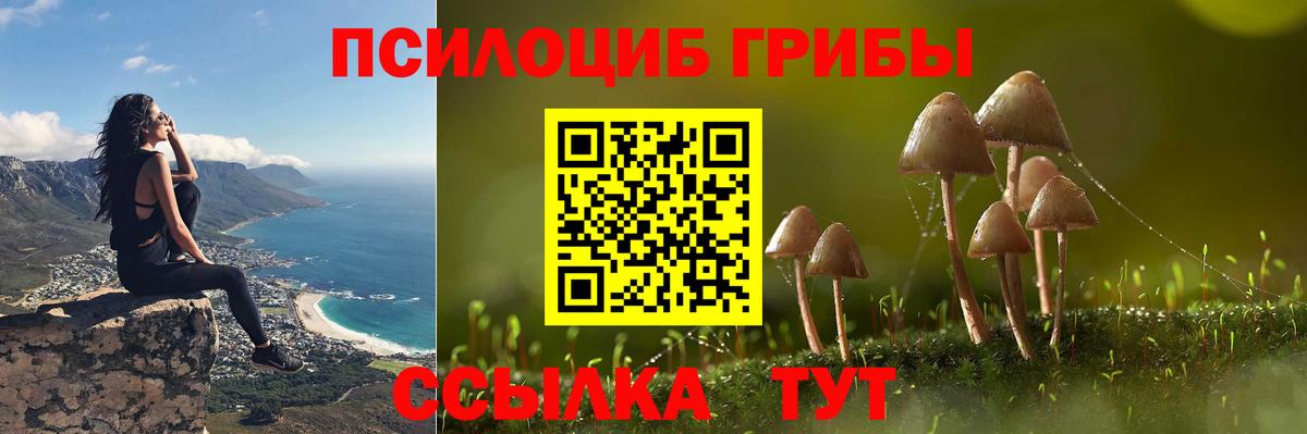 Псилоцибиновые грибы Cubensis  Вход с VPN  Калач-на-Дону 